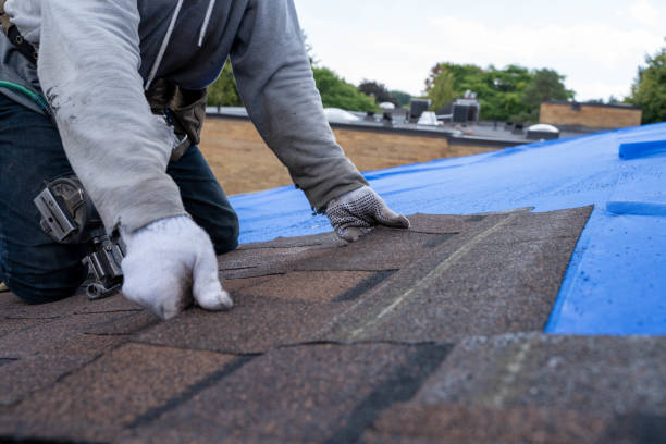 Best Roof Insulation Installation  in Ross, OH