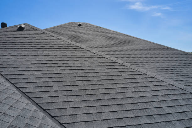 Best Roof Moss and Algae Removal  in Ross, OH